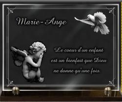 Plaque funeraire ange et colombe