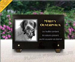 De nombreux dessins de chiens sont disponibles dans notre configurateur.