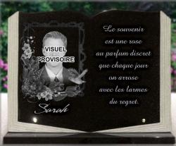 Livre granit, photo portrait, fleurs et oiseau