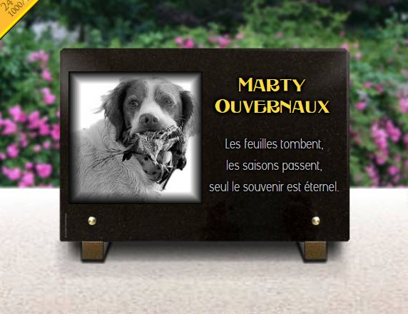 Plaque funeraire De nombreux dessins de chiens sont disponibles dans notre configurateur.