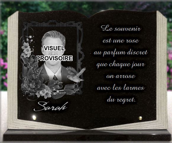 Plaque funéraire Livre granit, photo portrait, fleurs et oiseau